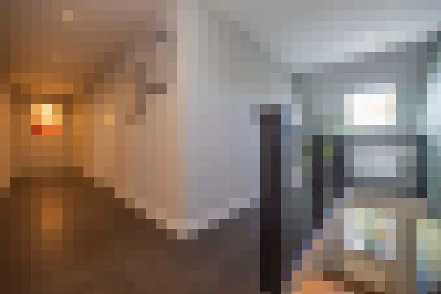 Heesakker 8 Haaren thumbnail 31