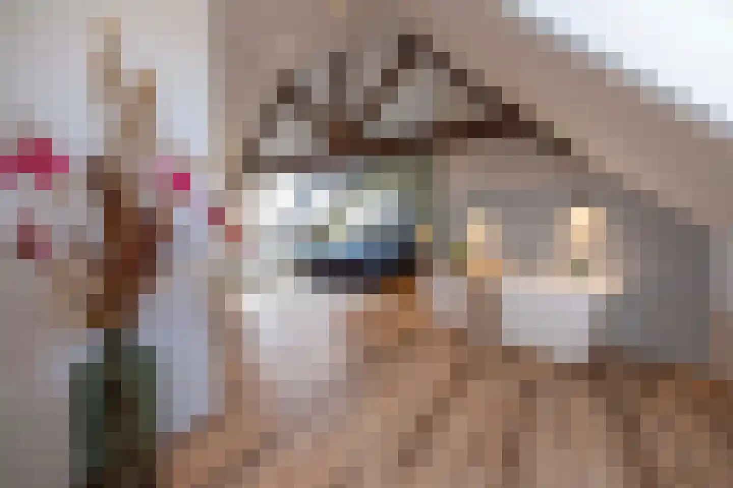 Heesakker 8 Haaren thumbnail 32
