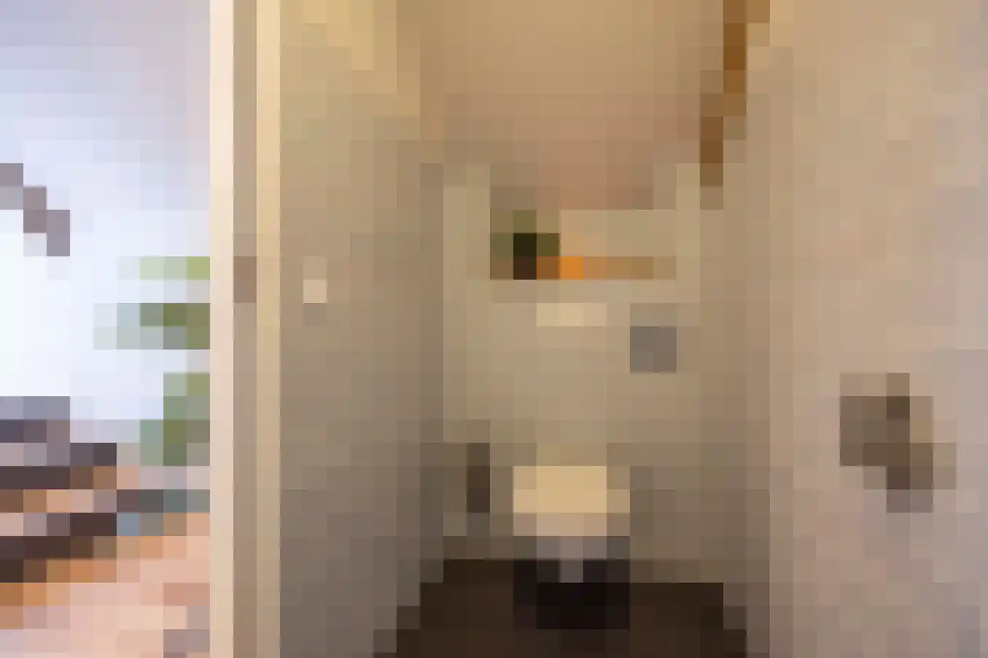 Heesakker 8 Haaren thumbnail 35