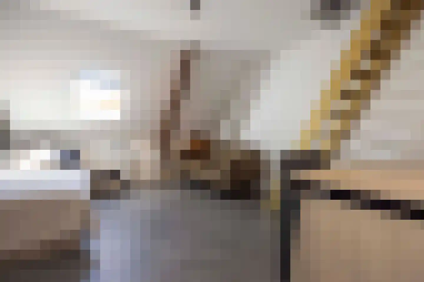 Heesakker 8 Haaren thumbnail 39