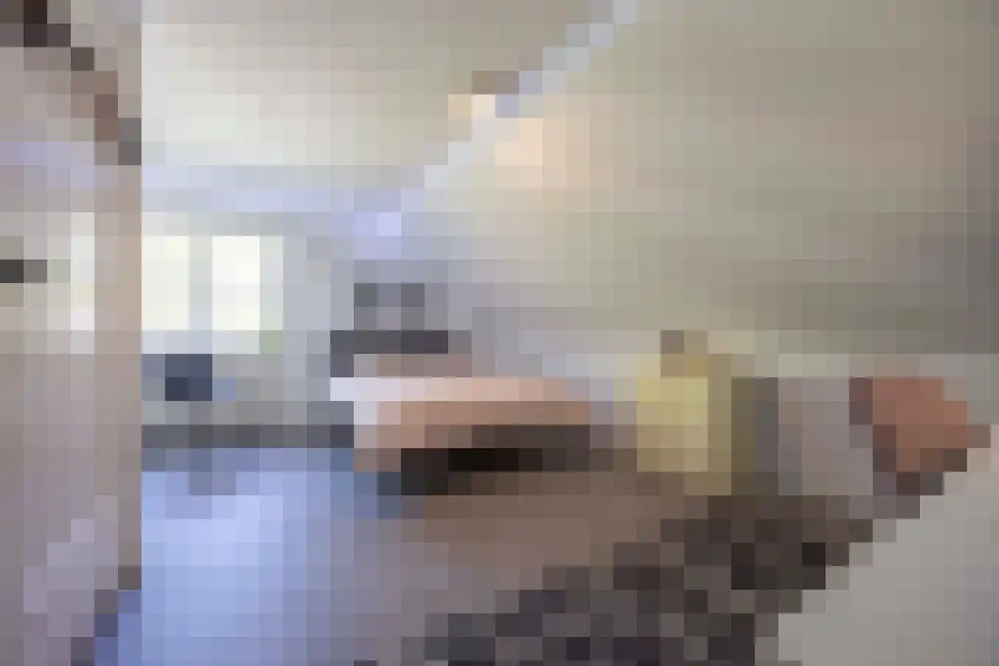 Heesakker 8 Haaren thumbnail 40