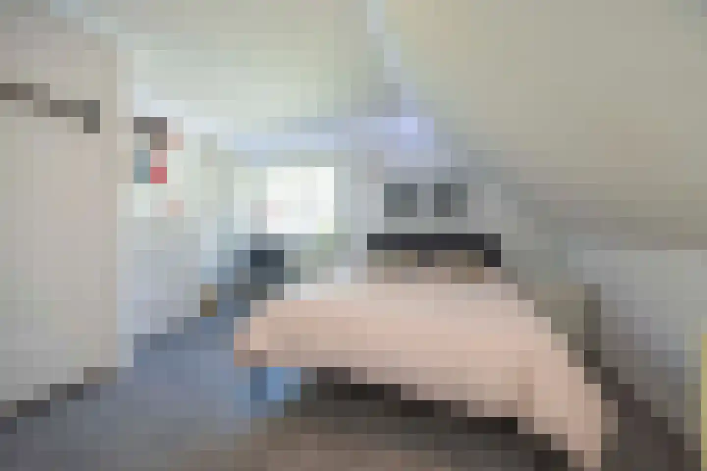 Heesakker 8 Haaren thumbnail 41