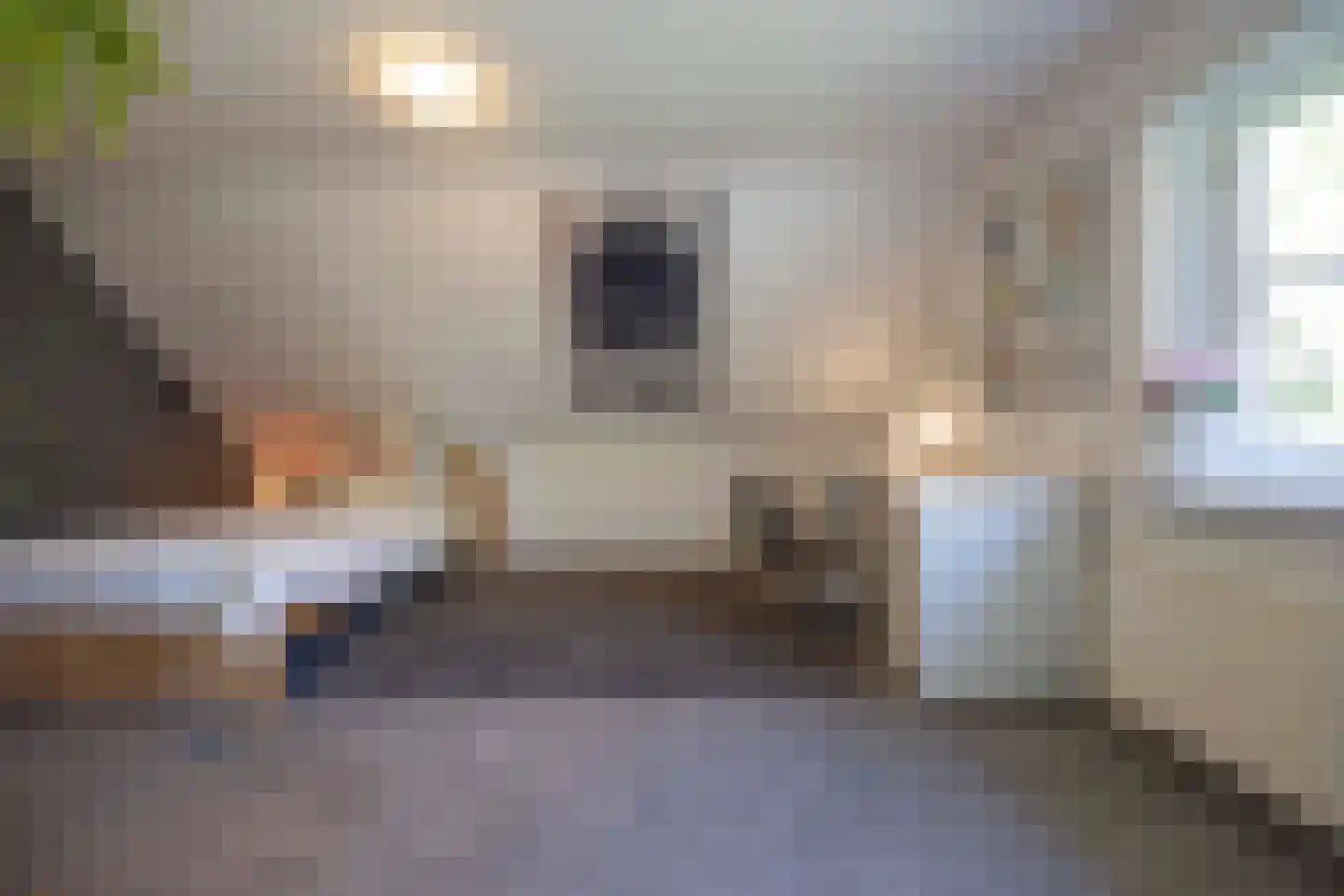 Heesakker 8 Haaren thumbnail 42