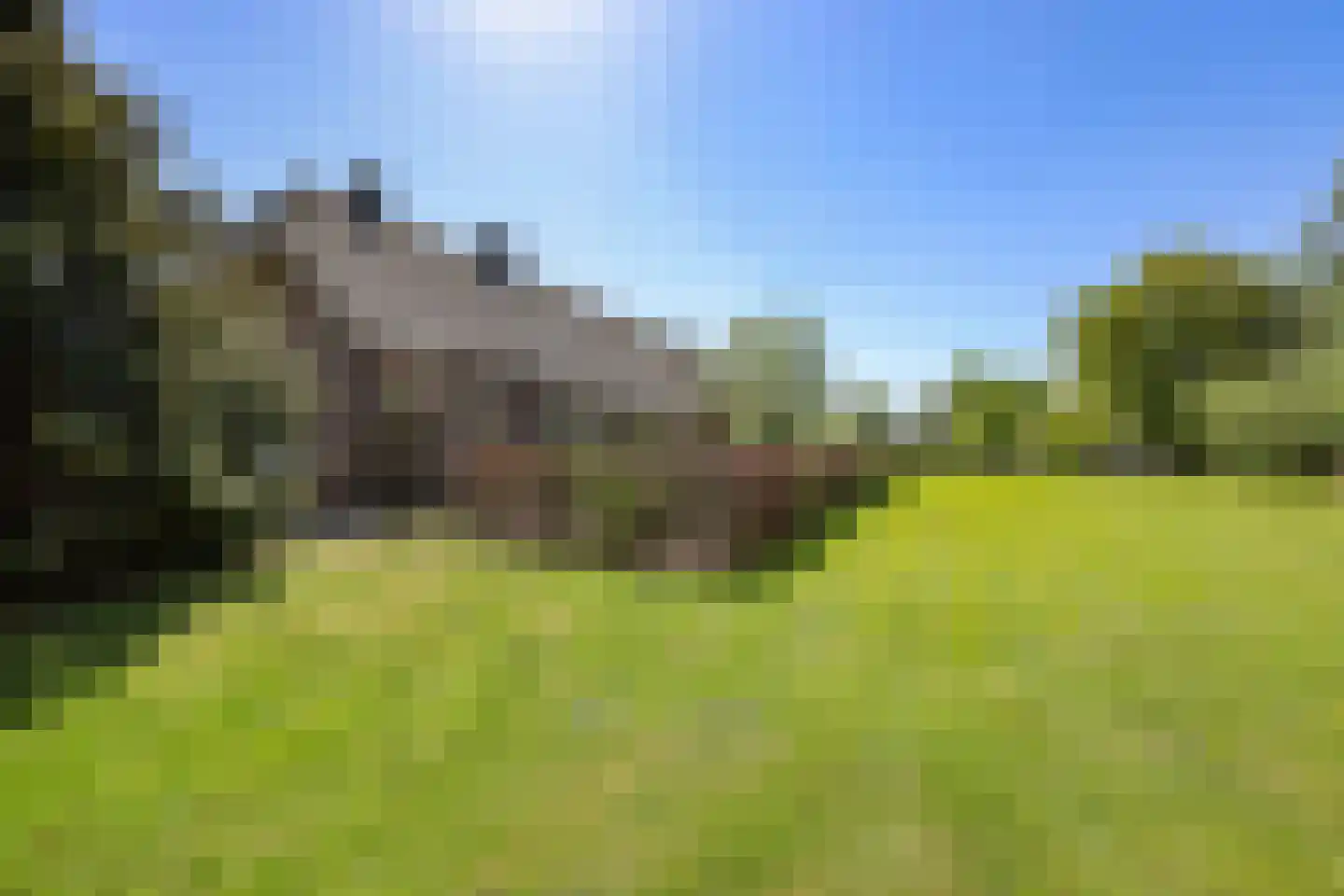 Heesakker 8 Haaren thumbnail 45