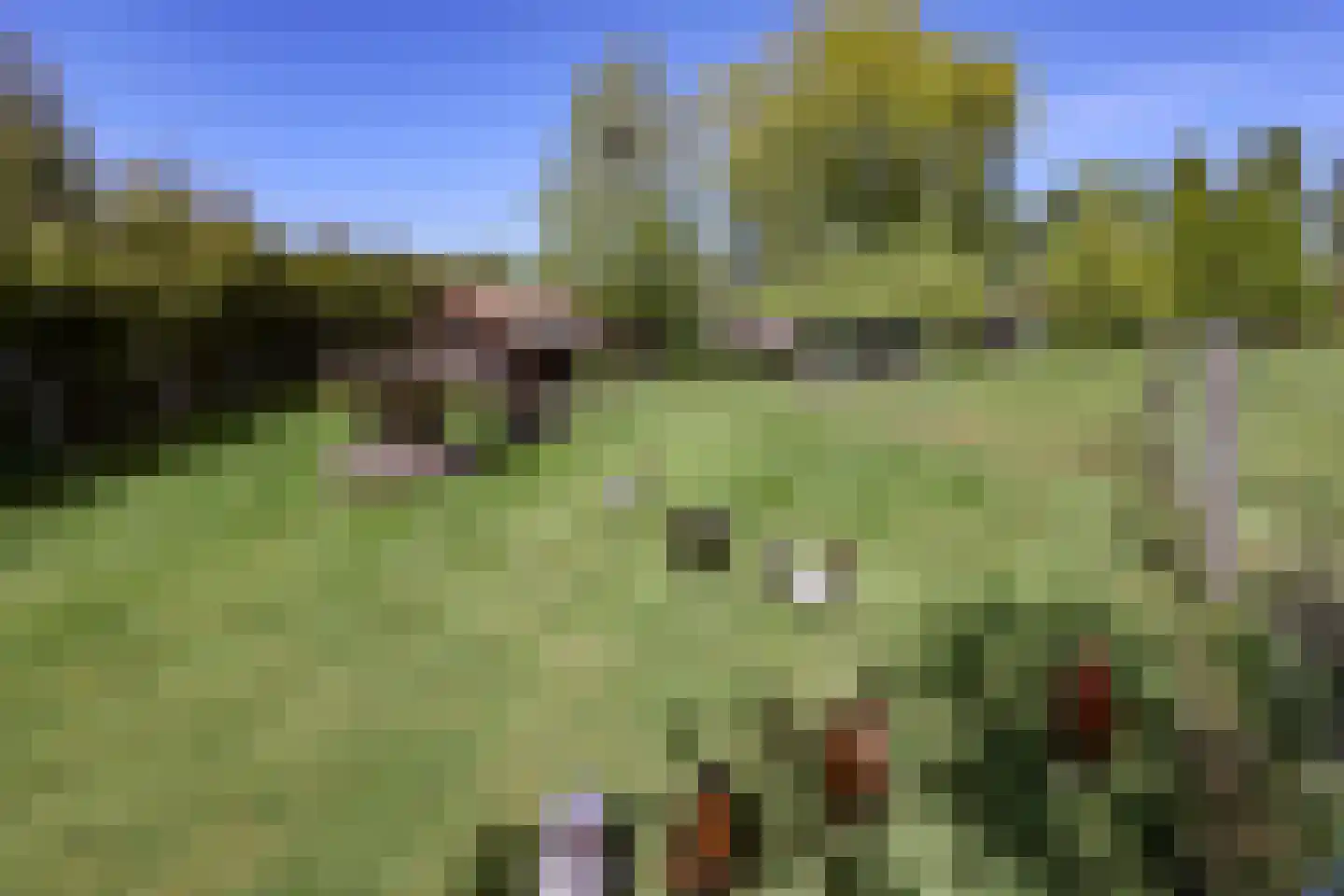 Heesakker 8 Haaren thumbnail 46