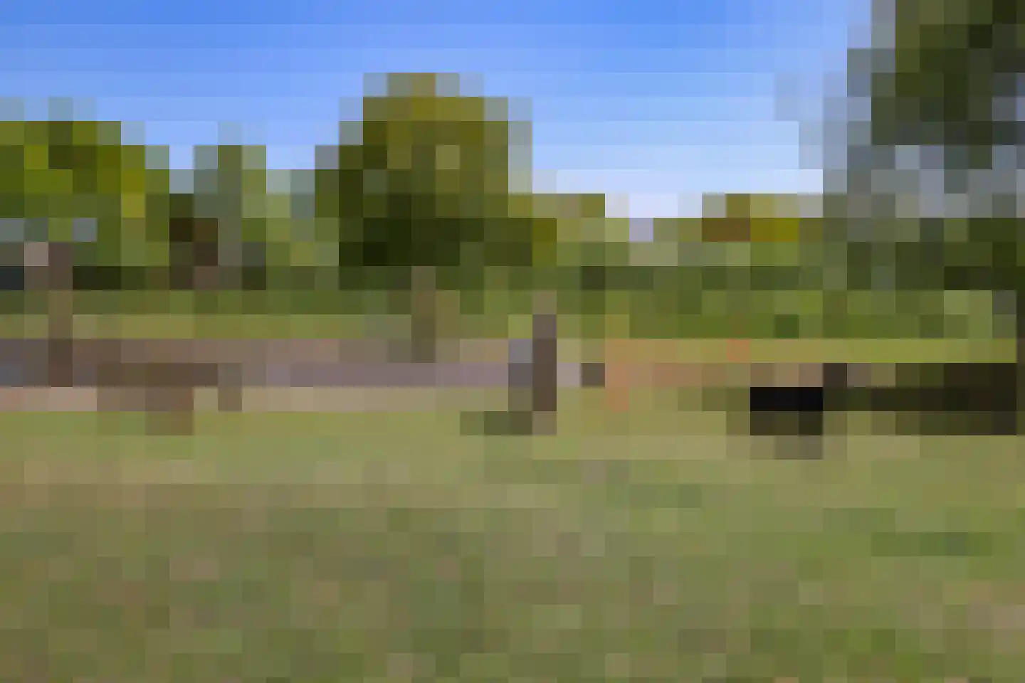 Heesakker 8 Haaren thumbnail 47