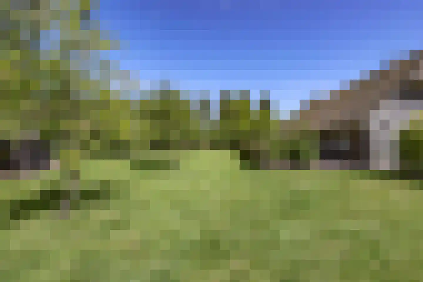 Heesakker 8 Haaren thumbnail 48