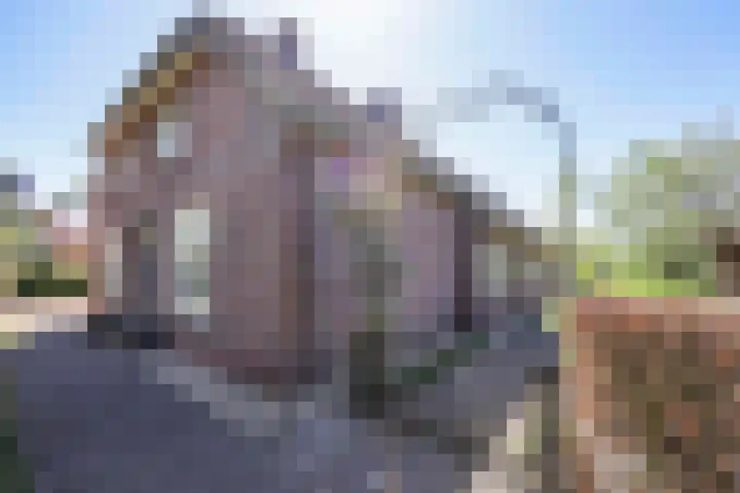 Heesakker 8 Haaren thumbnail 5
