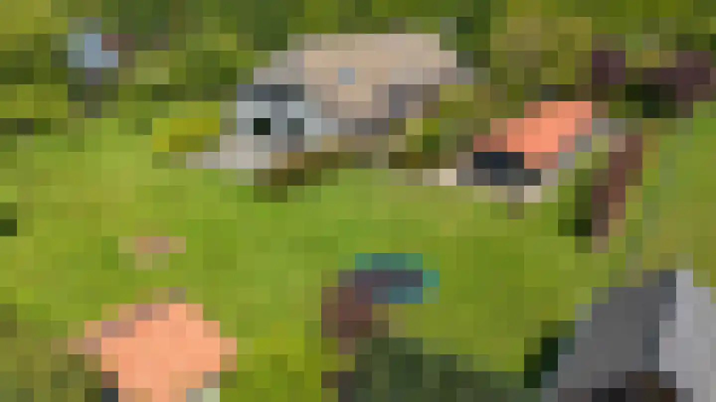 Heesakker 8 Haaren thumbnail 51