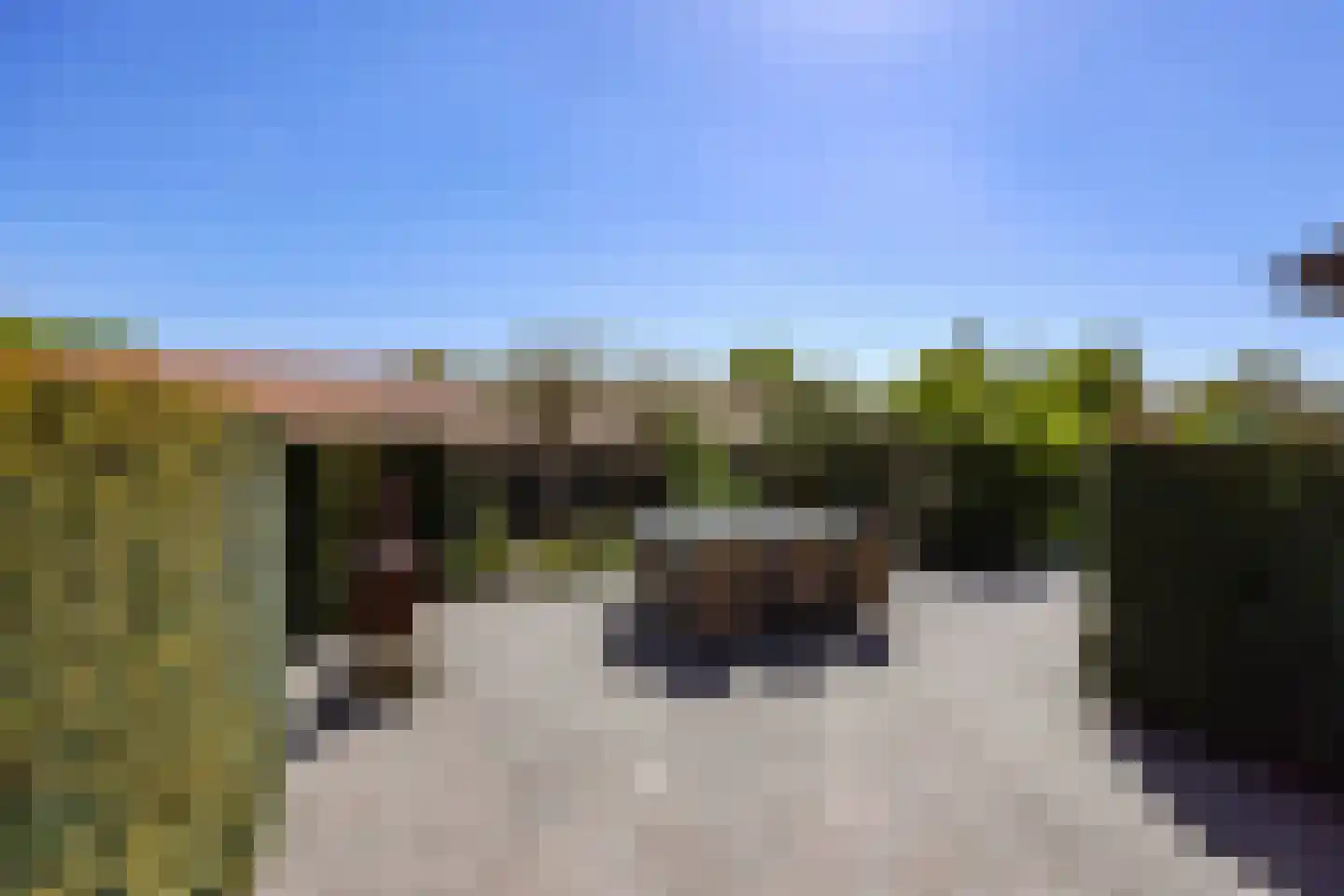 Heesakker 8 Haaren thumbnail 54