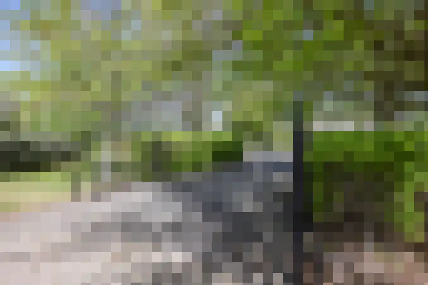 Heesakker 8 Haaren thumbnail 57
