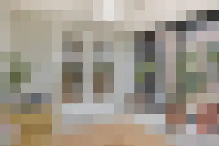 Heesakkerstraat 26 Sint-Michielsgestel thumbnail 40