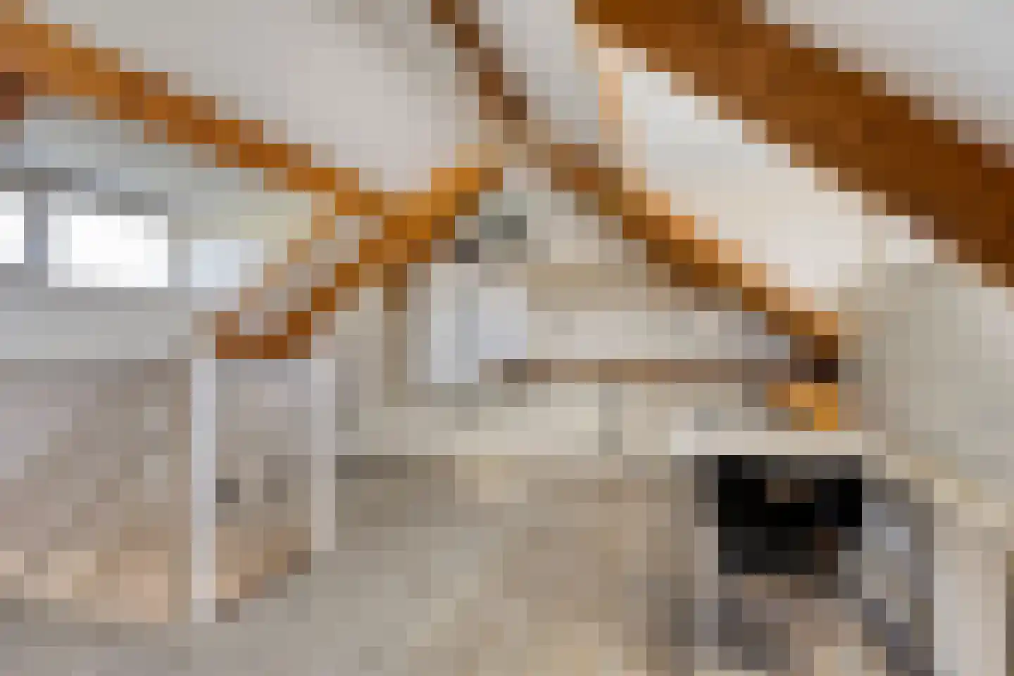 Heescheweg 11 Nistelrode thumbnail 23