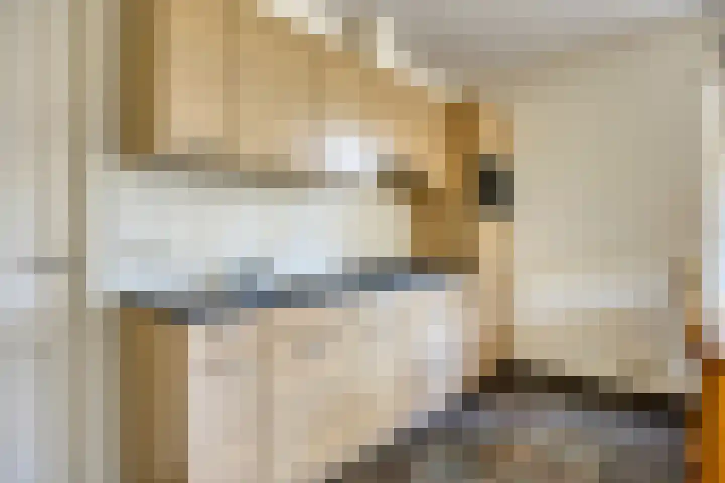 Heescheweg 11 Nistelrode thumbnail 28