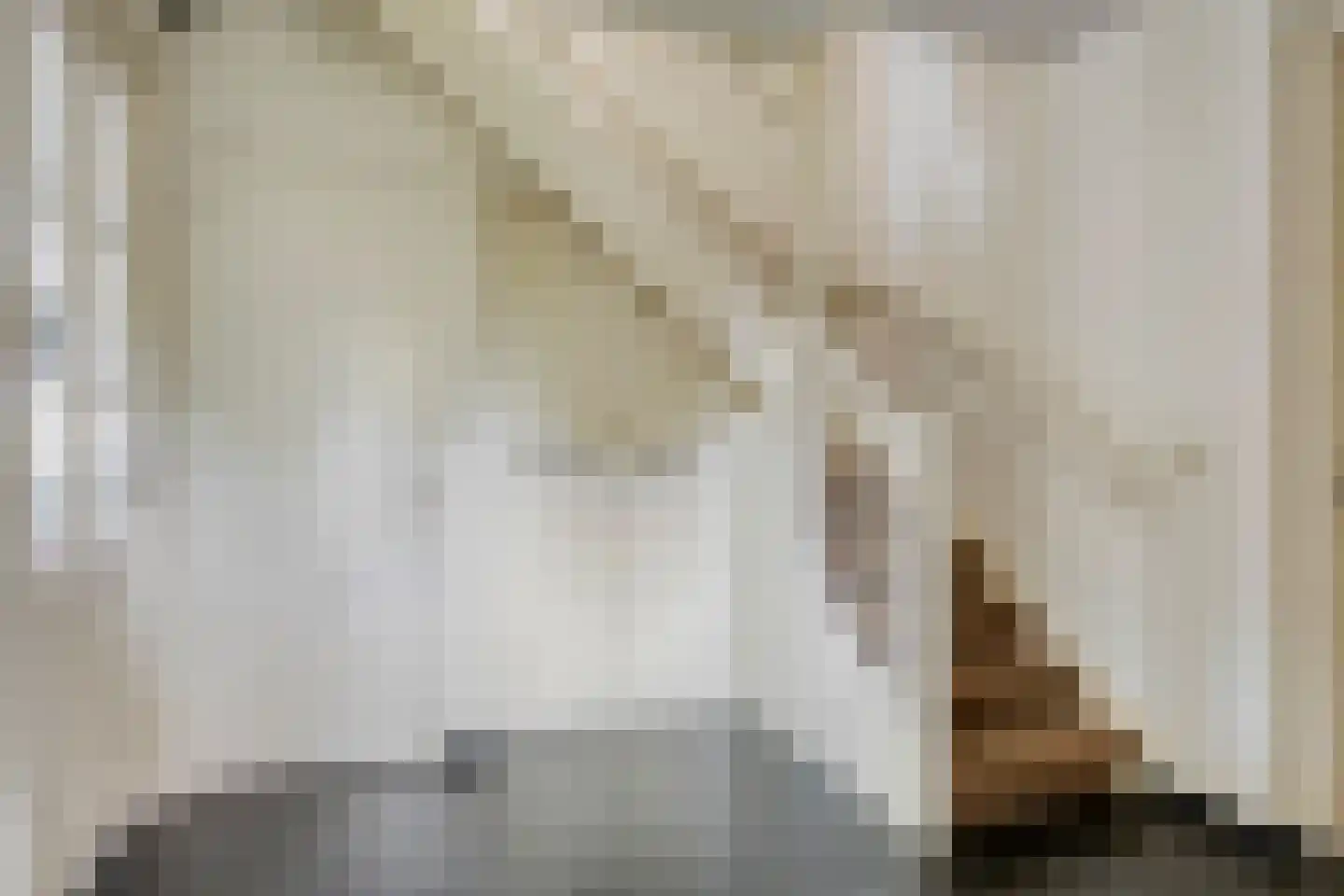 Heescheweg 11 Nistelrode thumbnail 4
