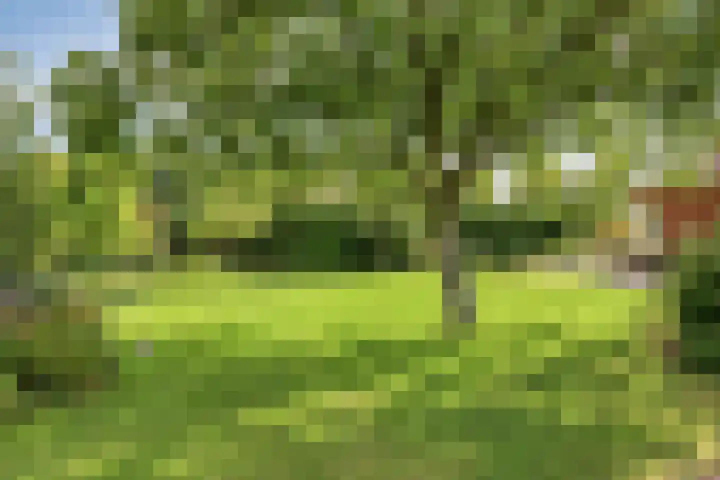 Heescheweg 11 Nistelrode thumbnail 48