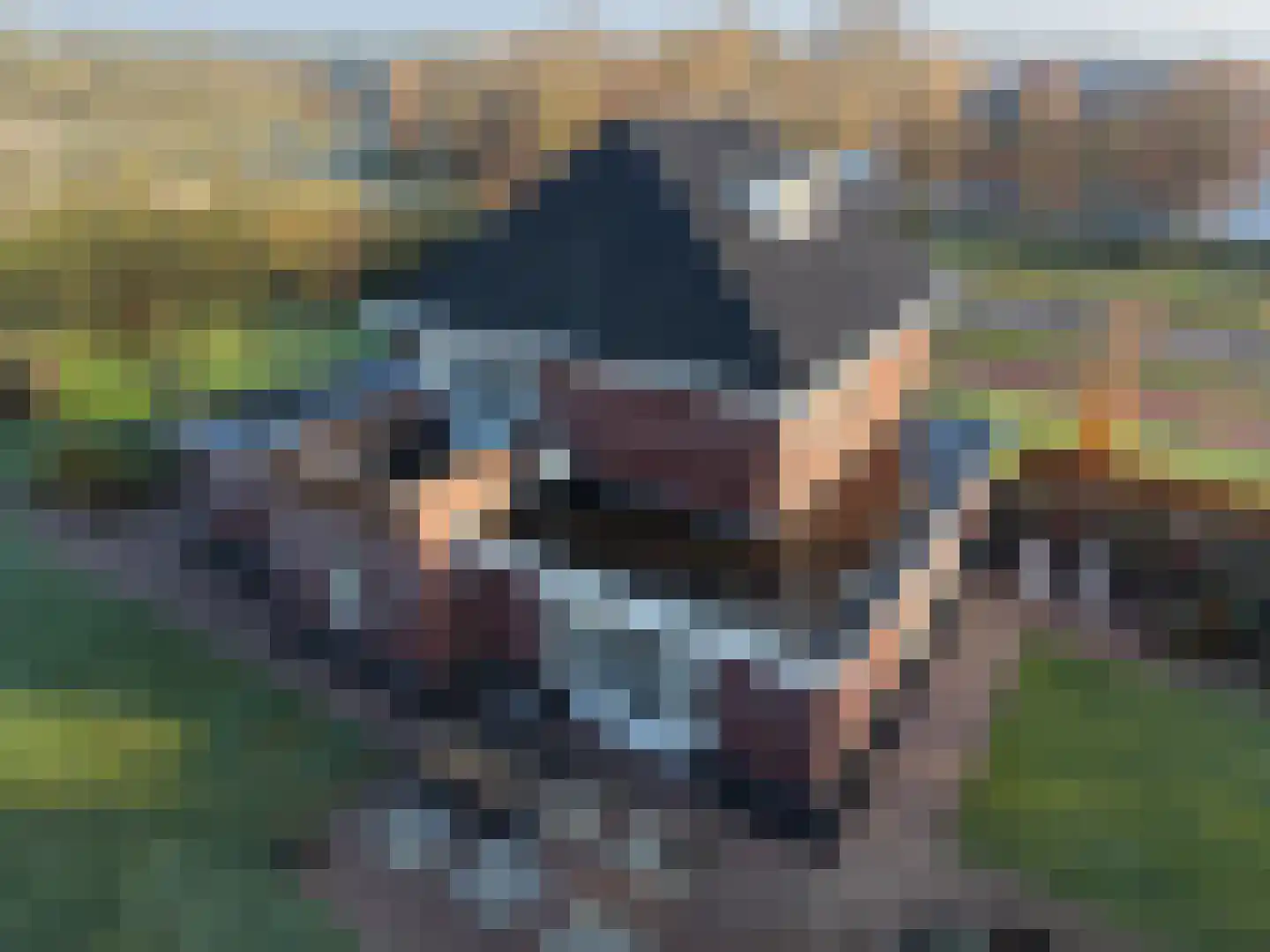 Heescheweg 11 Nistelrode thumbnail 56