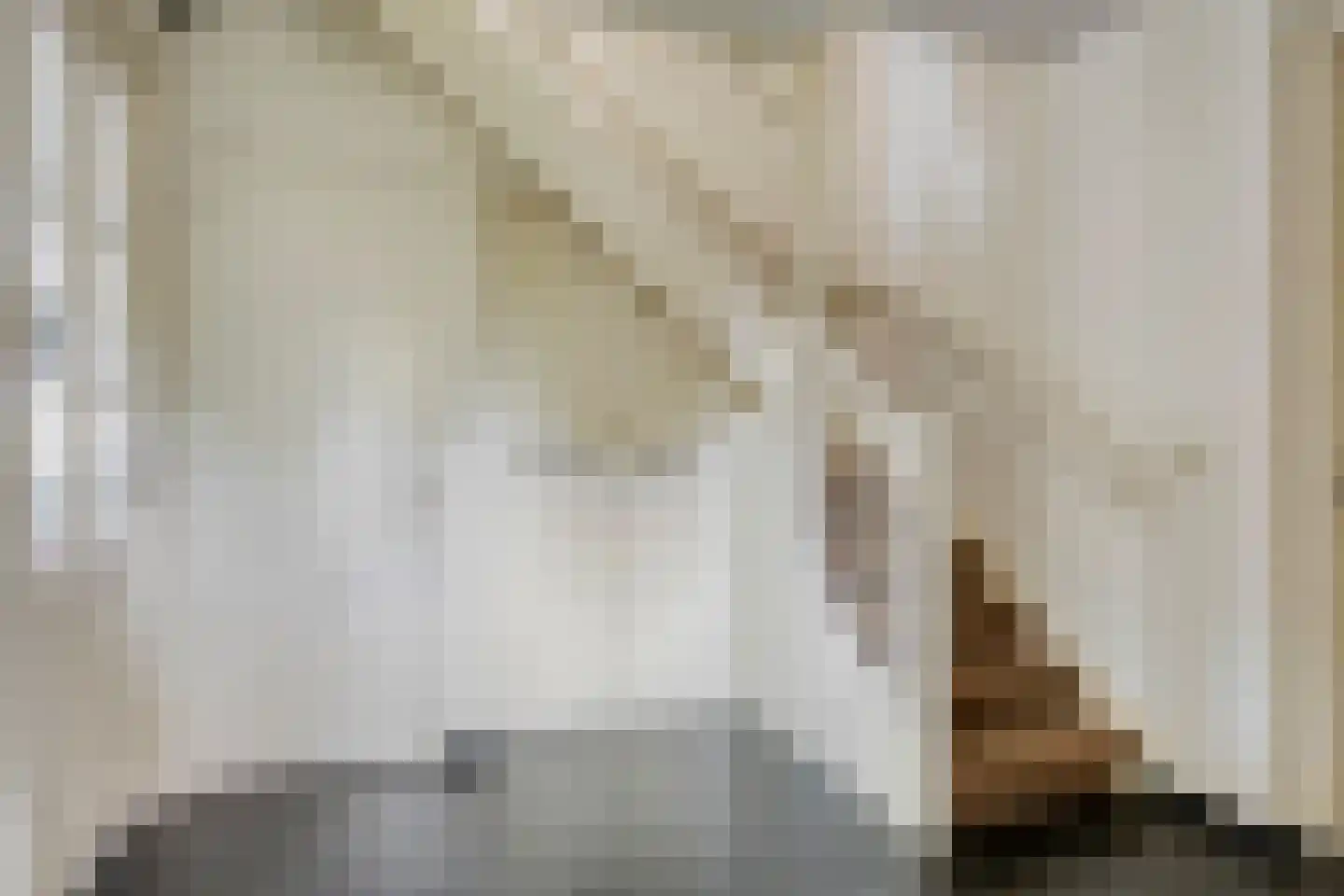 Heescheweg 11 Nistelrode thumbnail 8