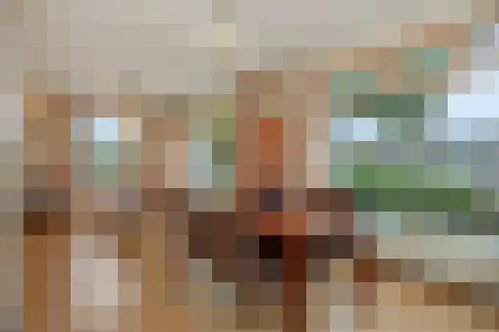 Heescheweg 3 Nistelrode thumbnail 11