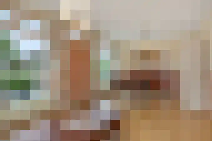 Heescheweg 3 Nistelrode thumbnail 14