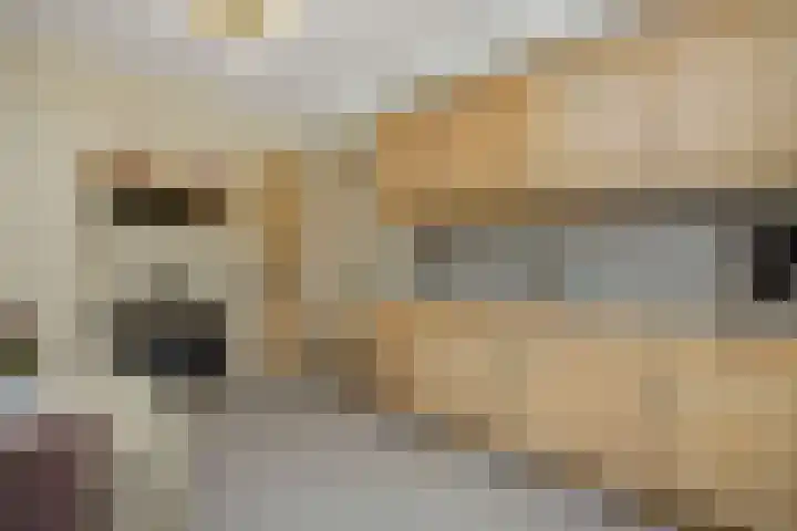Heescheweg 3 Nistelrode thumbnail 15