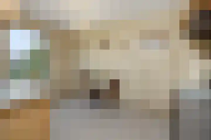 Heescheweg 3 Nistelrode thumbnail 17