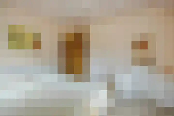 Heescheweg 3 Nistelrode thumbnail 25