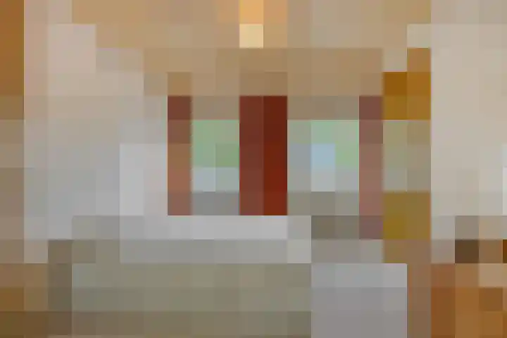 Heescheweg 3 Nistelrode thumbnail 26