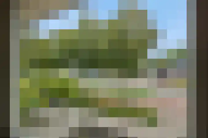 Heescheweg 3 Nistelrode thumbnail 27