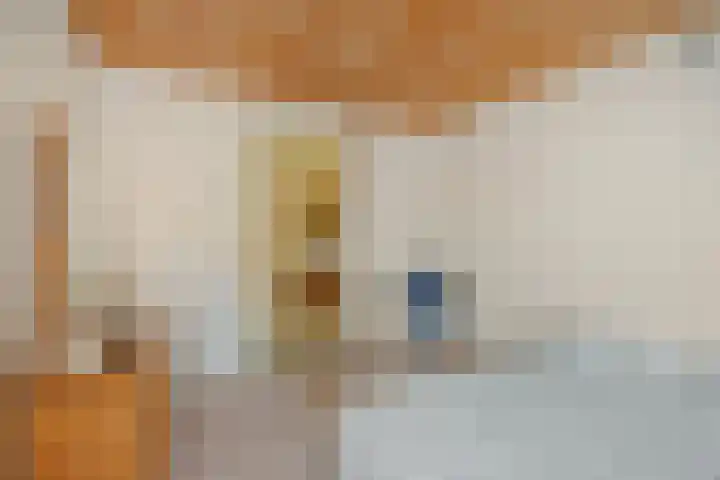 Heescheweg 3 Nistelrode thumbnail 28