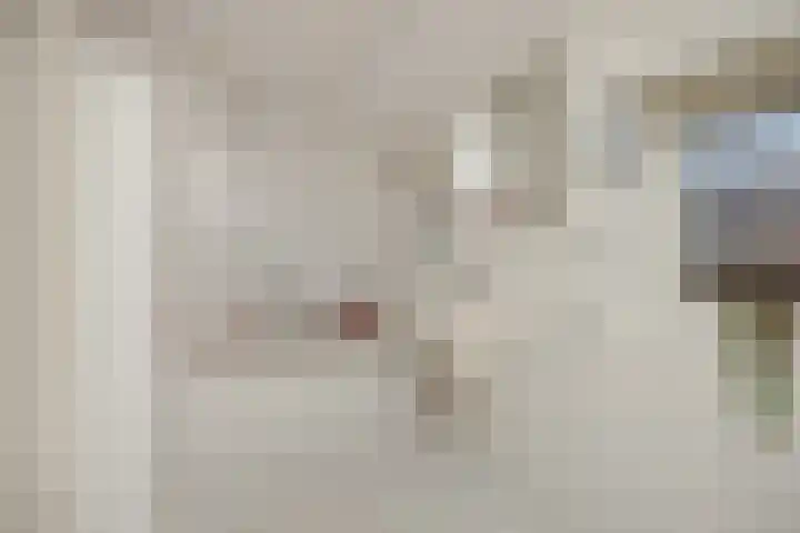 Heescheweg 3 Nistelrode thumbnail 33