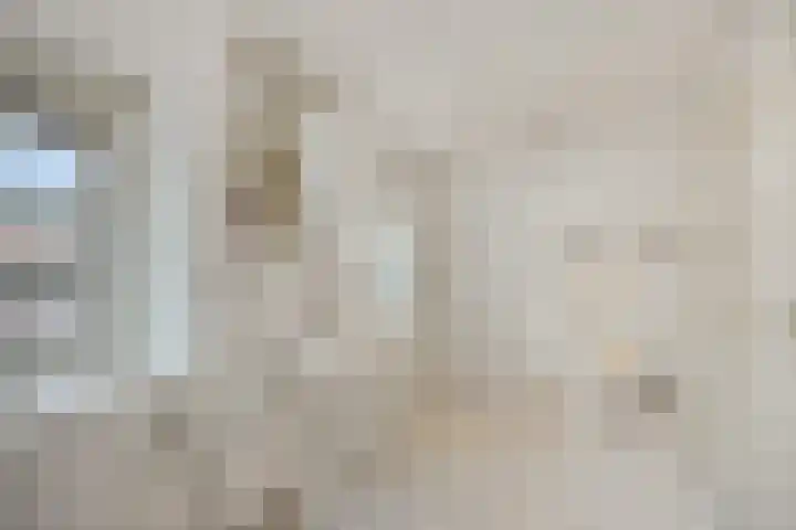 Heescheweg 3 Nistelrode thumbnail 35