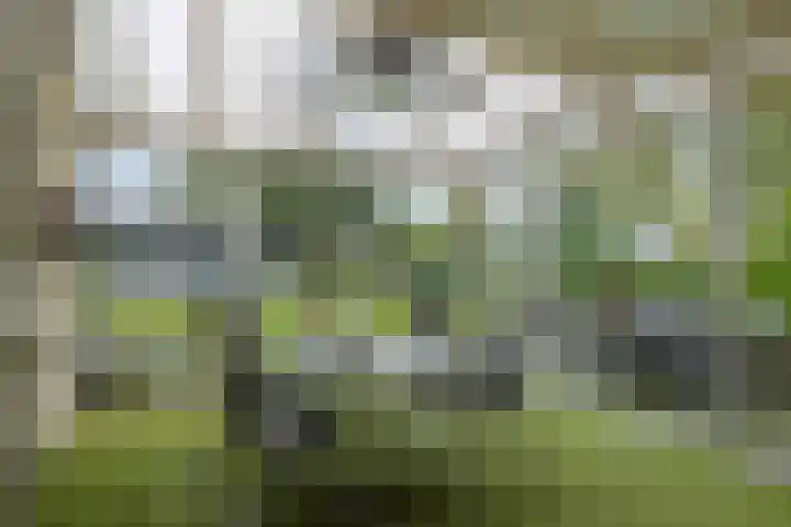 Heescheweg 3 Nistelrode thumbnail 37