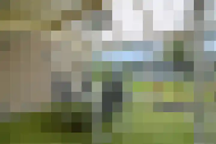 Heescheweg 3 Nistelrode thumbnail 38