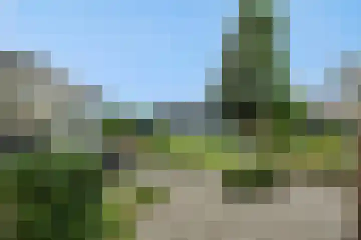 Heescheweg 3 Nistelrode thumbnail 39