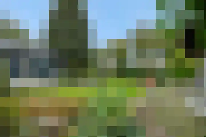 Heescheweg 3 Nistelrode thumbnail 42