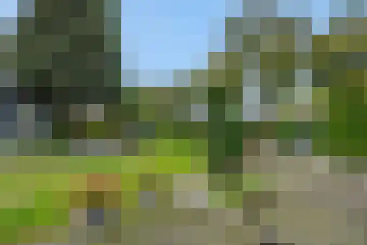 Heescheweg 3 Nistelrode thumbnail 43