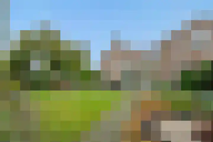 Heescheweg 3 Nistelrode thumbnail 45