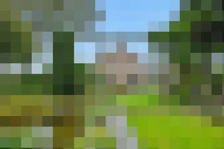 Heescheweg 3 Nistelrode thumbnail 47
