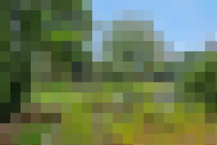 Heescheweg 3 Nistelrode thumbnail 48