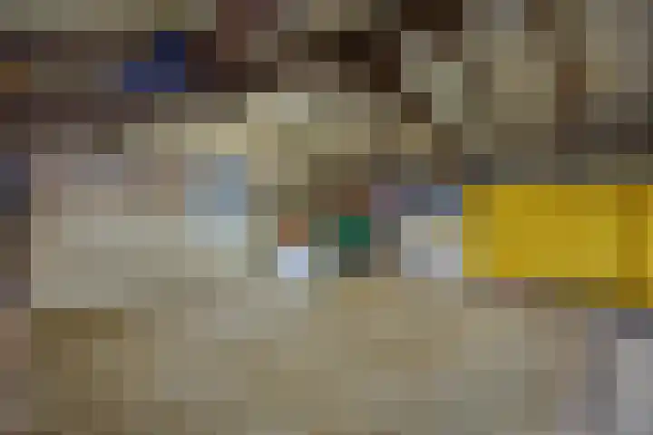 Heescheweg 3 Nistelrode thumbnail 57
