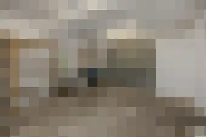 Heescheweg 3 Nistelrode thumbnail 60
