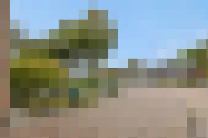 Heescheweg 3 Nistelrode thumbnail 63