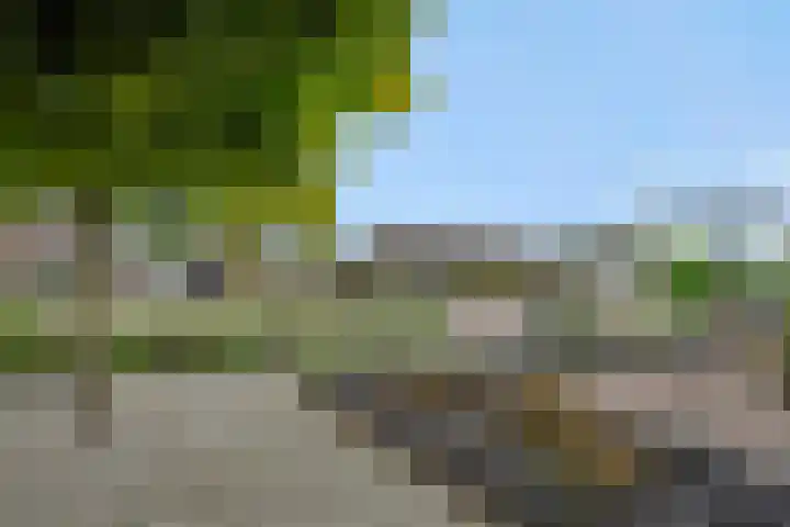 Heescheweg 3 Nistelrode thumbnail 65
