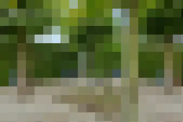 Heescheweg 3 Nistelrode thumbnail 66