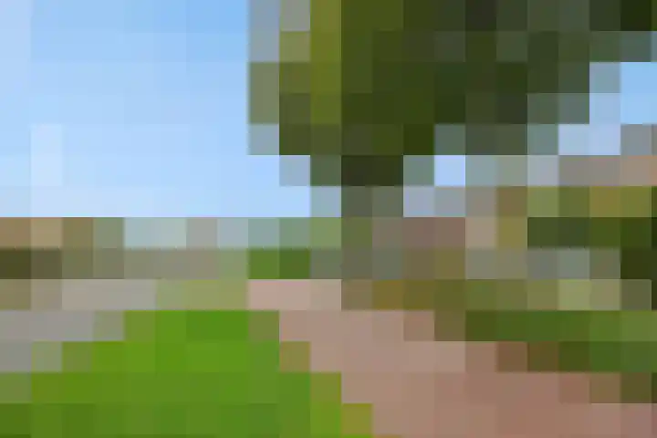Heescheweg 3 Nistelrode thumbnail 69