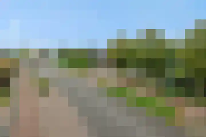 Heescheweg 3 Nistelrode thumbnail 70