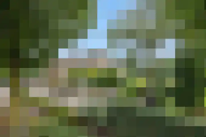Heescheweg 3 Nistelrode thumbnail 71
