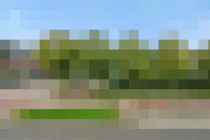Heescheweg 3 Nistelrode thumbnail 72