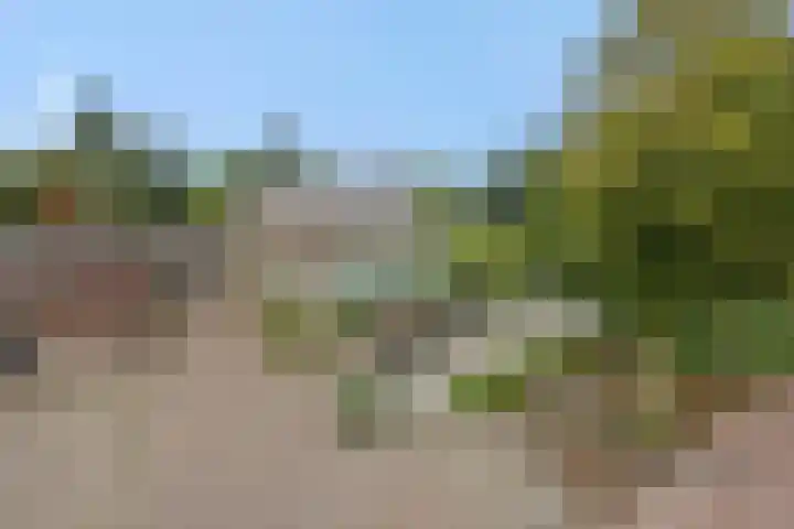 Heescheweg 3 Nistelrode thumbnail 73